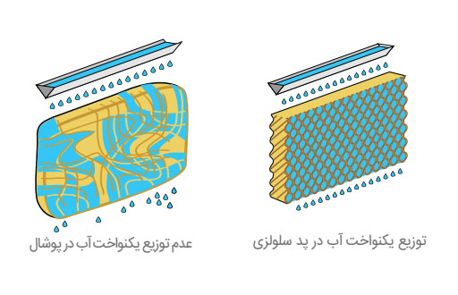 توزیع یکنواخت پد سلولزی