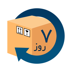 ضمانت بازگشت